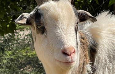 Grand Apt 1777 Neckarmühle - Foto 40