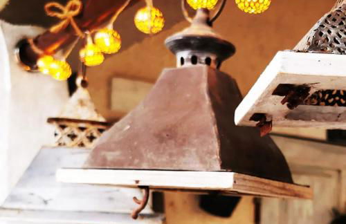 Podere Montecorno - Foto 69