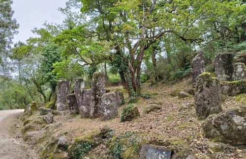 Casa do Corgo - Foto 39