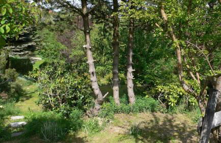 3 Sterne Ferienwohnungen Wachter - Foto 54