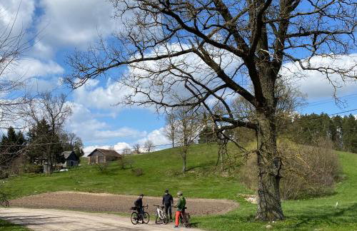 Ostoja Miłolas - Foto 44