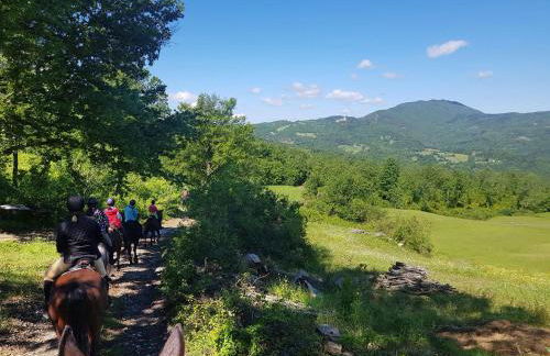 Hotel Rifugio Prategiano - Foto 11