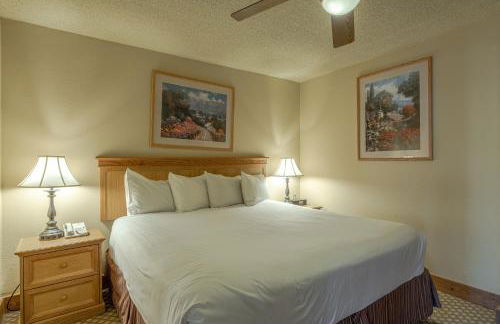 Grand Lodge Condo in the Heart of Mt Crested Butte condo - Foto 7