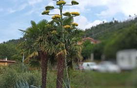 Casa vacanze Ester - Foto 64