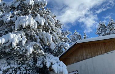 Appartamento immerso nel verde - Foto 15