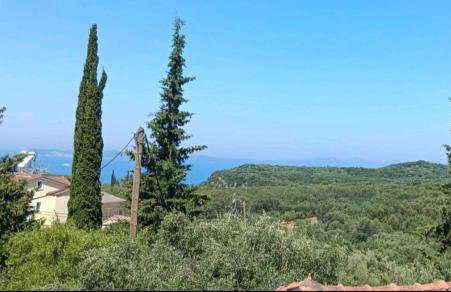 ZOGRAFOS SPIROS Rooms - Foto 20