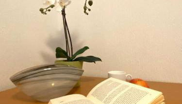 Süderhaus Hiddensee App 6 - Foto 5