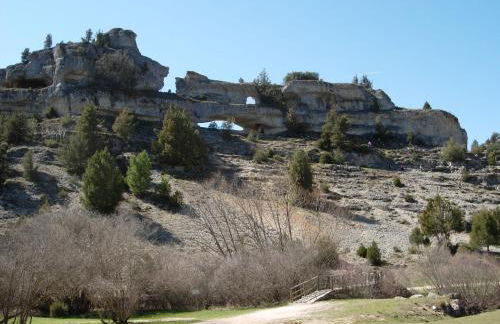 Fuente del Pino Cañón de Río Lobos - Foto 31