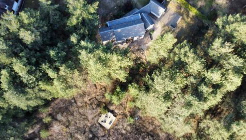 La villa dans les pins - Foto 4, Garden, sunbed, Garden view