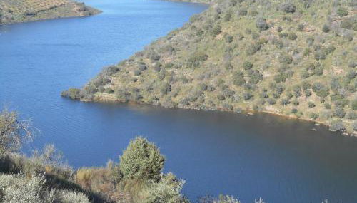 Casa do Souto - Foto 4