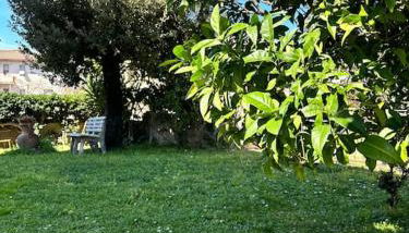 Appartamento Albatros - Foto 5, Garden