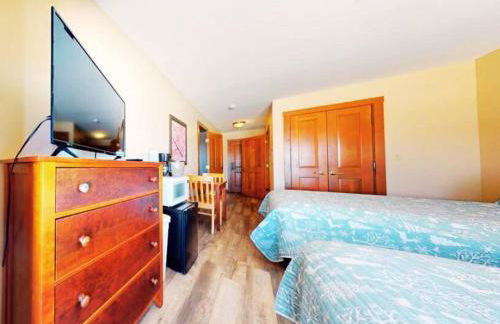 Lux Stay USA Ballhooter Twin Gables Ski-InOut Hot Tub - Foto 53