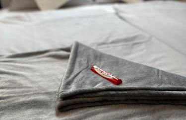 K2-Project - Gipfelstürmer - Über den Dächern von Schloßchemnitz - Foto 10