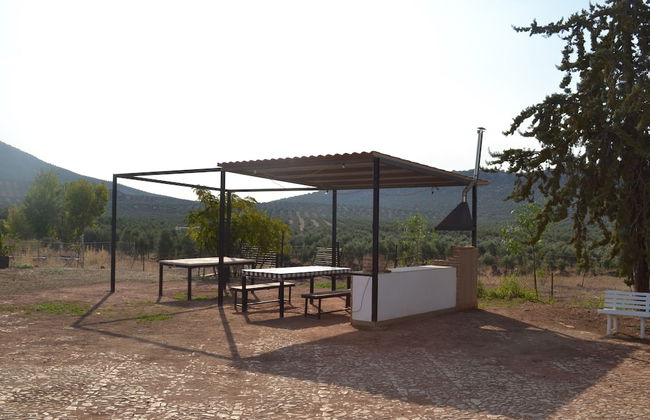 Cortijo Vizconde - Photo 54