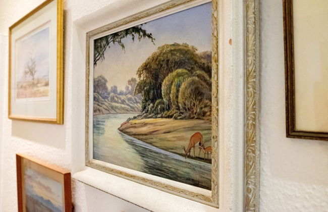 5 Camp Street Guesthouse & Self-catering - Foto 10