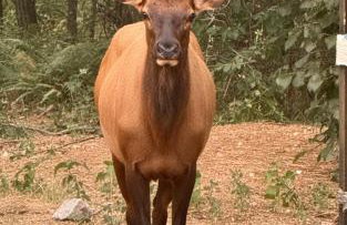 Peaceful Boise Retreat 3BR with Cozy Deck - Foto 36