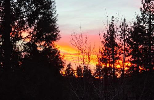 Bear Escapes II Affordable Luxury Cabin - Foto 42