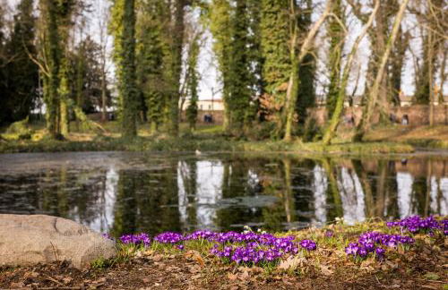 Apartment am Schlosspark - Foto 20