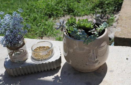 Studio apartman IVAN - Foto 27