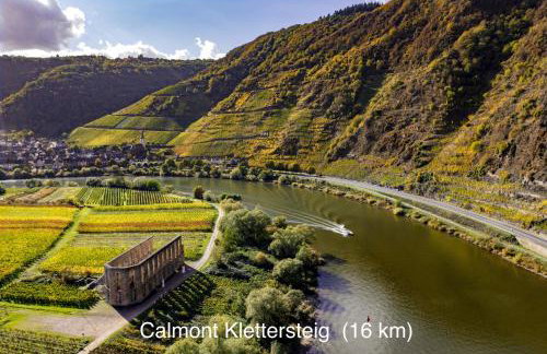 Wohnen am Weingut - Bei den Weinbergen - Foto 24