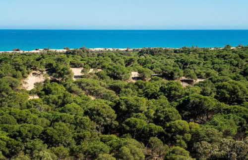 Pinada Paradise - Foto 23