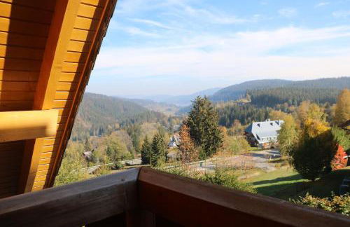 Ferienwohnung Seeblick Nr 3, 2 Zi-Bärental, Feldberg - Foto 12