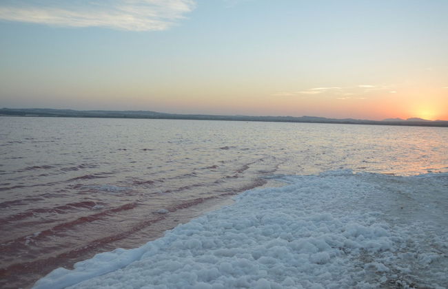 Villa Amalia 43 - Foto 20