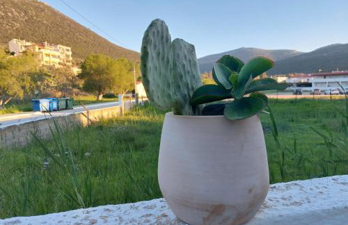 Vitamin sea Studio - Foto 25