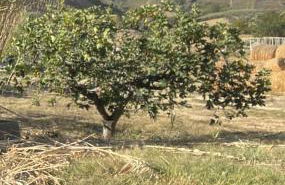 Villa Casabianca - Foto 31