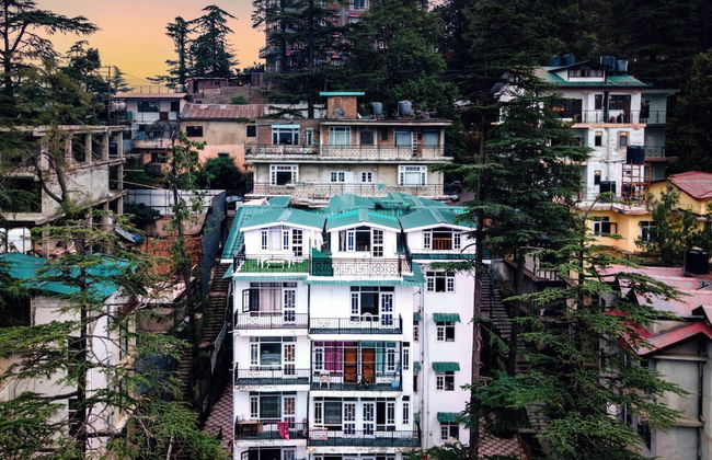 The Sunset Abode Shimla 4BR Valley Views - Foto 25