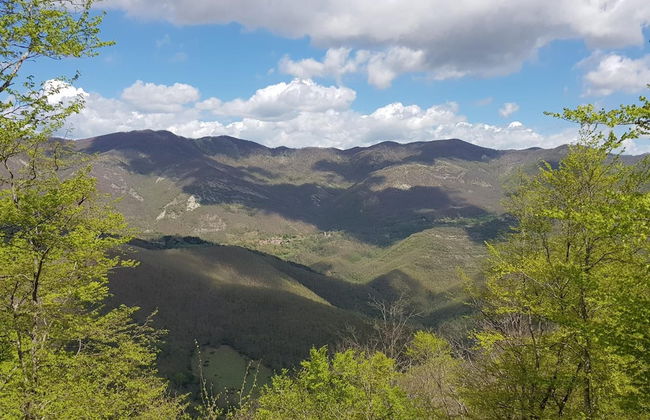 Alla Battuta - Foto 44