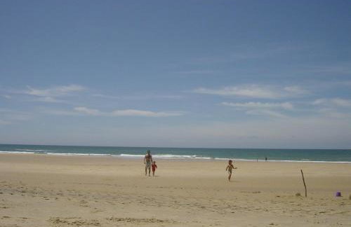 La Tomate Surfeuse 1 - Photo 6