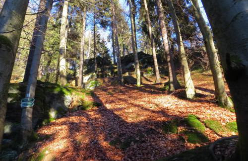 Ferienwohnungen Breternitz - Photo 8