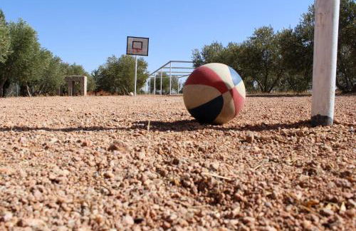 Casas Rurales el Palomar - Foto 24