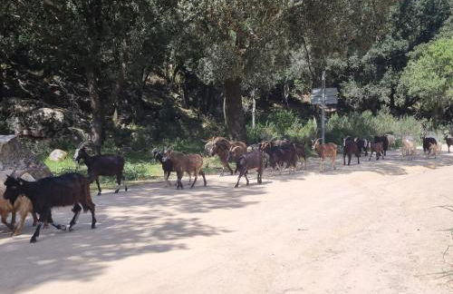 Villa Stellalilou - Foto 34