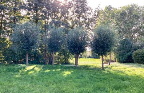 Moderner Bungalow im Seebad Bansin, 200 Meter zum Strand - Photo 14