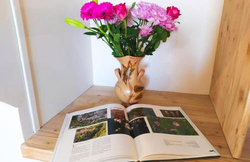 Ecogite de l'adonis - Foto 5