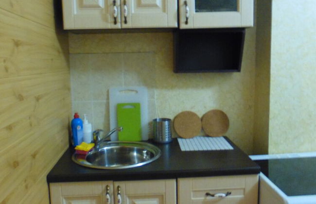 Apartment on Mashinistov - Photo 6