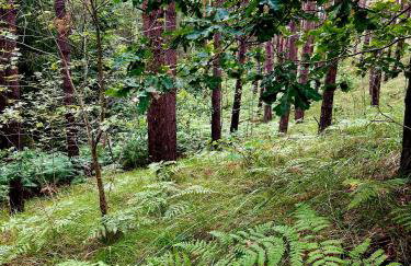 Apple Tree House - Foto 68