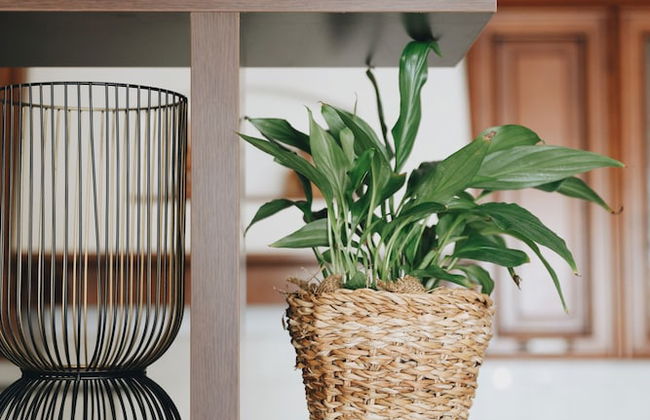 Penthouse the Best Old Town View - Foto 54