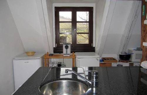 Plein Sud vue sur les Vosges et le vignoble - Foto 20