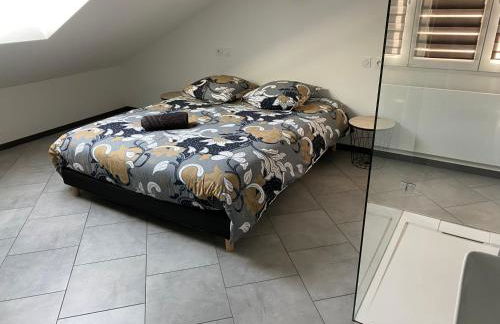 Location T4 entre Lac & Montagne - Photo 24