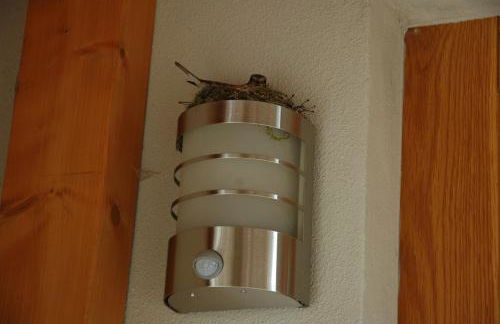 Ferienhaus am Brunnen - Foto 23