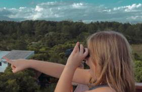 Embausurf - Moradas de Aluguel - Photo 42