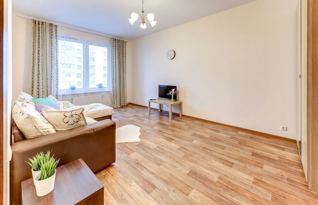 Apartment Vesta with a park view - Foto 1