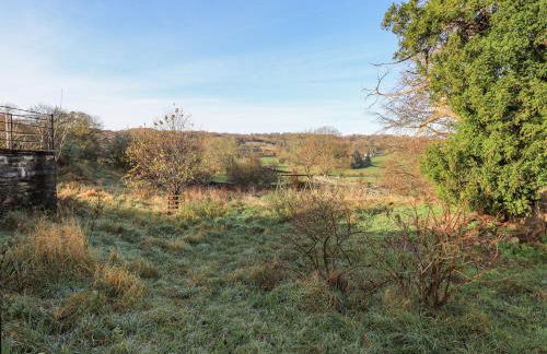 Green Yew - Photo 55