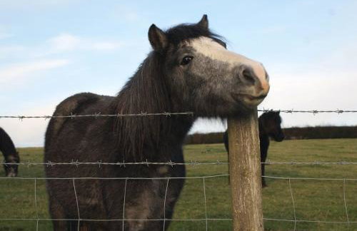 The Stone Barn Cottage - Photo 20