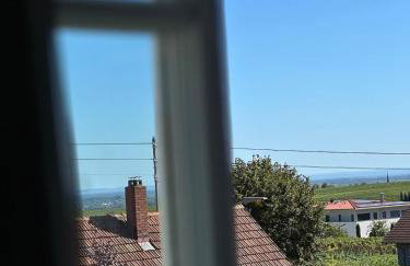 Altes Winzerhaus Stegmann - Foto 11