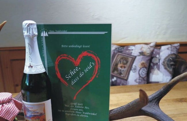 Nagelsmederij in het Huis Waldwinkel - Foto 24