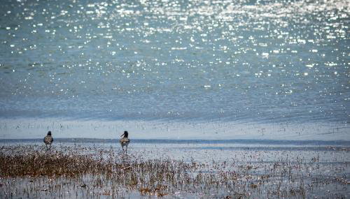 Koronisia Apartments - Foto 3